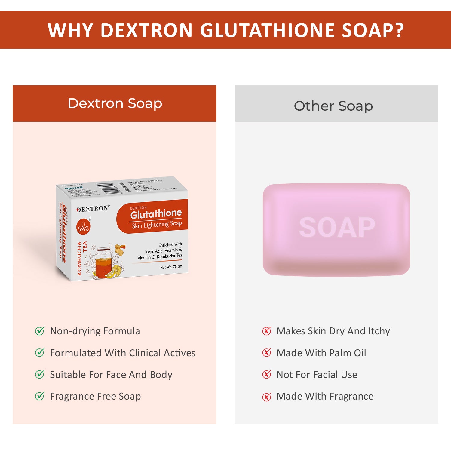 Back Label of Dextron Kombucha Tea Soap with Ingredients and Directions